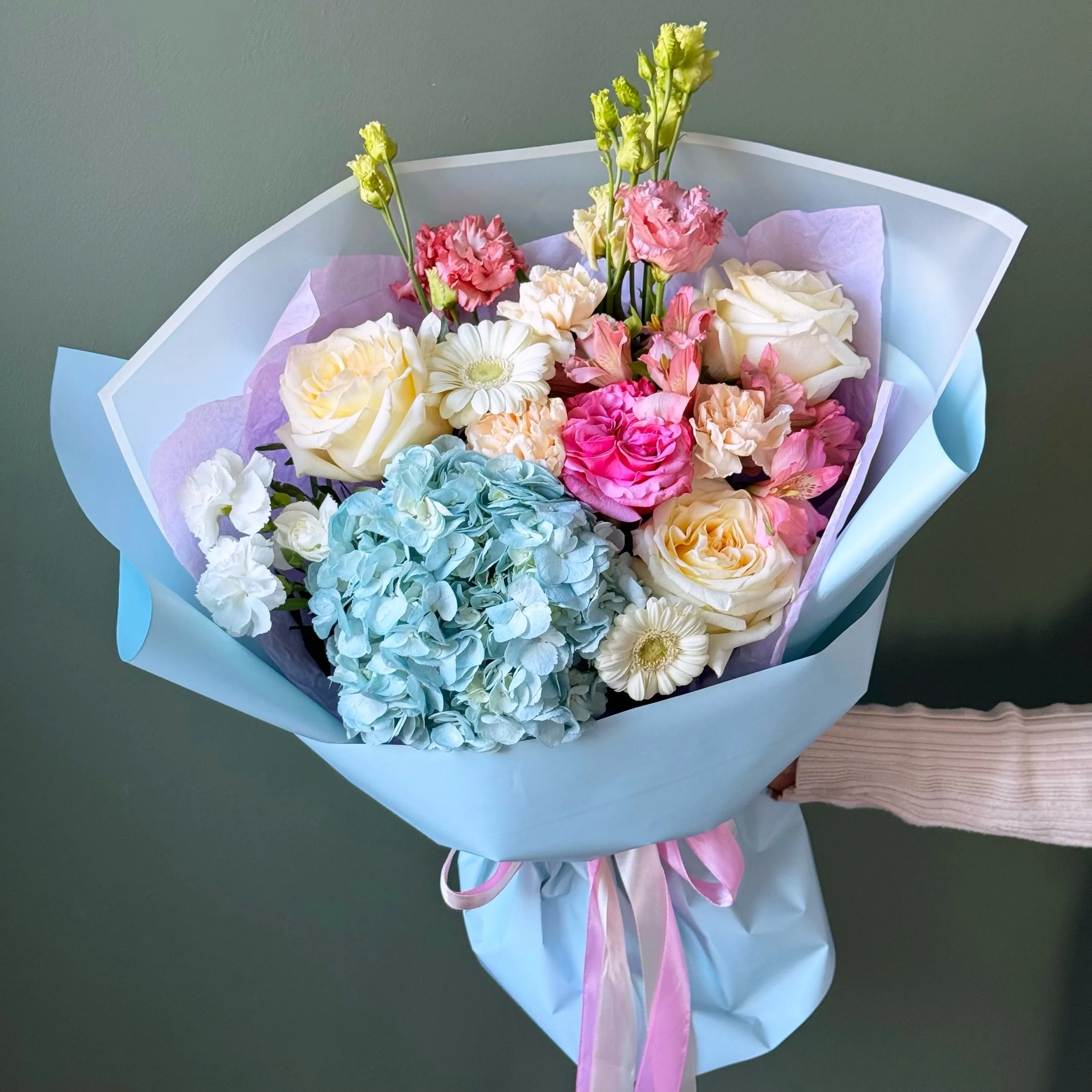 Гортензия и гермини